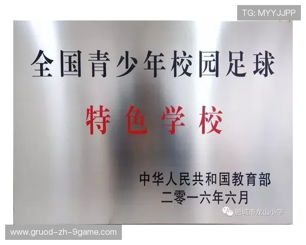 特色“足球+旅游+文化”产业融合示范区在行业内持续推广，足球特色园试点工作总结报告